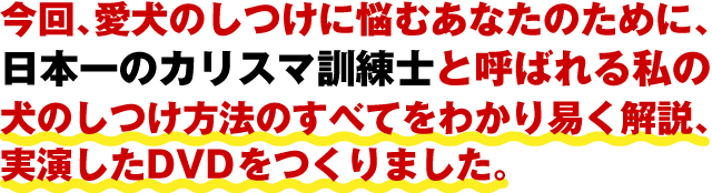 ����A�����̂����ɔY�ނ��Ȃ��̂��߂ɁA�T�O�N�ȏ�A�����������Ă������̂������@�̂��ׂĂ��킩��Ղ�����A��������DVD������܂����B