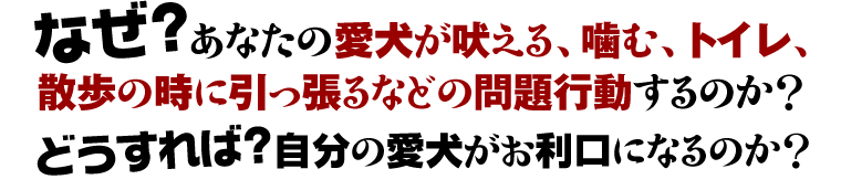 �Ȃ��H���Ȃ��̈��������s�����N�����̂��H
