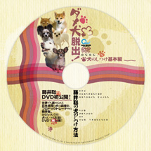 DVD�P