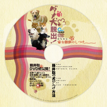 DVD�Q