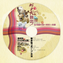DVD�R