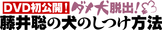 ���䑏�̌��̂���DVD