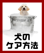 ���摜�̖��O��
